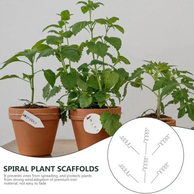 Plant Support Stake - Tırmanıcı Bitki Destek Çubuğu, Tırmanıcı Asma