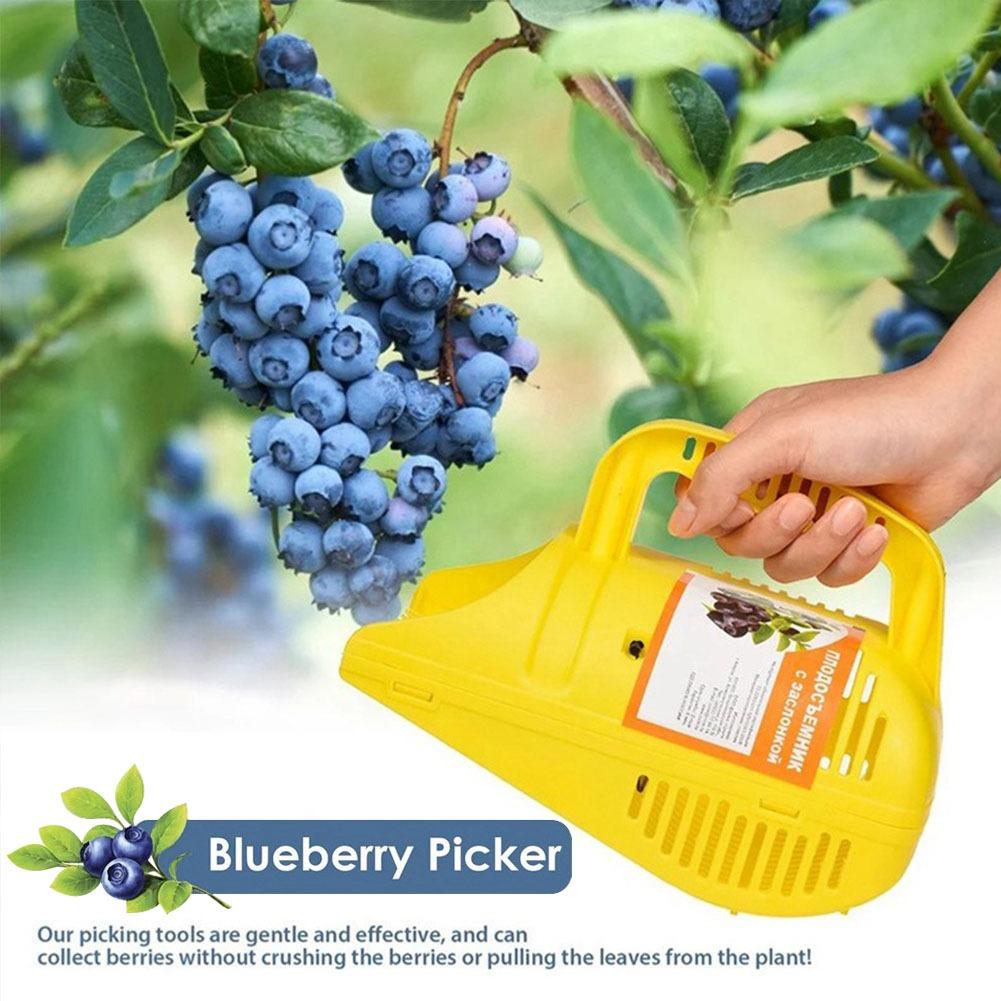 Gardening Tools Must Haves - Tarak Dişli Kolay Tutuşlu Yaban Mersini