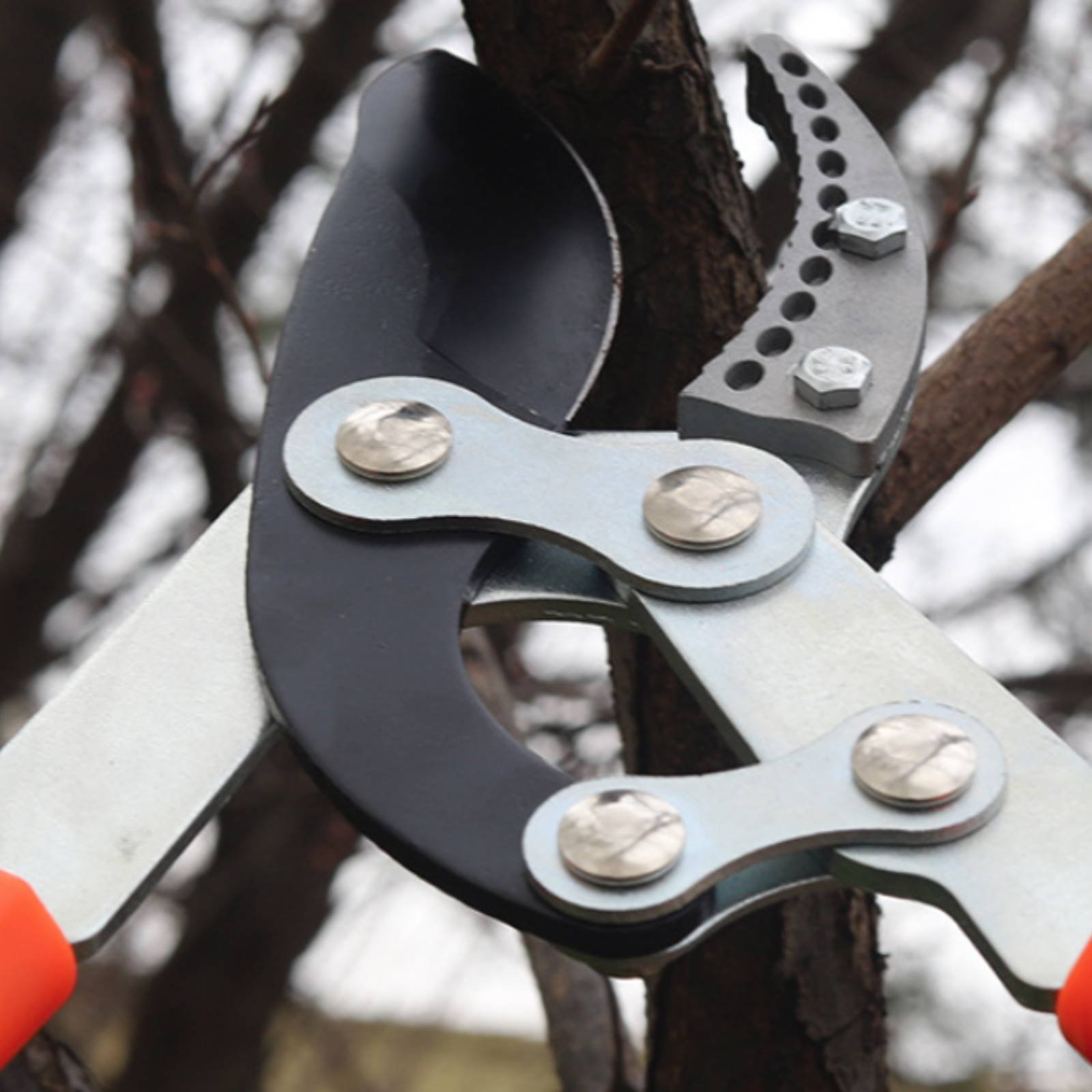 Gardening Tool - Teleskopik Dal Budama Makineleri Keskin Bıçaklı