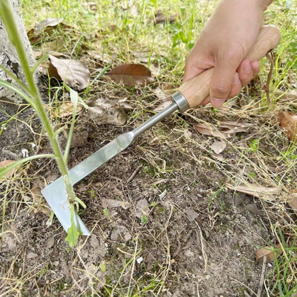 Paslanmaz Çelik Boşluk Temizle - Gardening Tools Used For Weeding incelemesi ve fiyatı