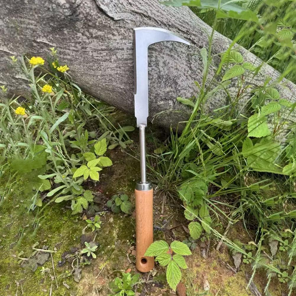 Paslanmaz Çelik Boşluk Temizle - Gardening Tools Used For Weeding incelemesi ve fiyatı
