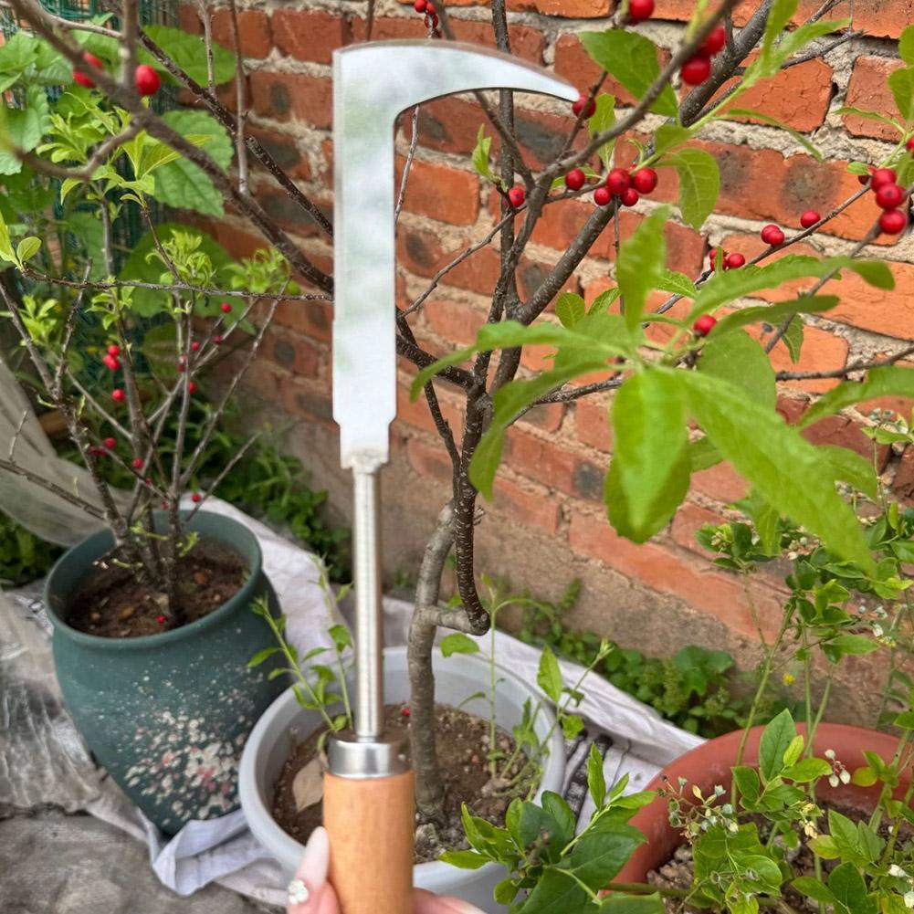 Paslanmaz Çelik Boşluk Temizle - Gardening Tools Used For Weeding incelemesi ve fiyatı