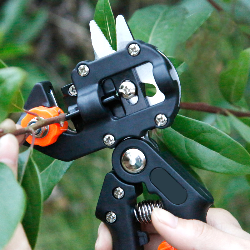 Aşılama Filmi Aşılama Makası B - Gardening Tools To Cut Branches incelemesi ve fiyatı