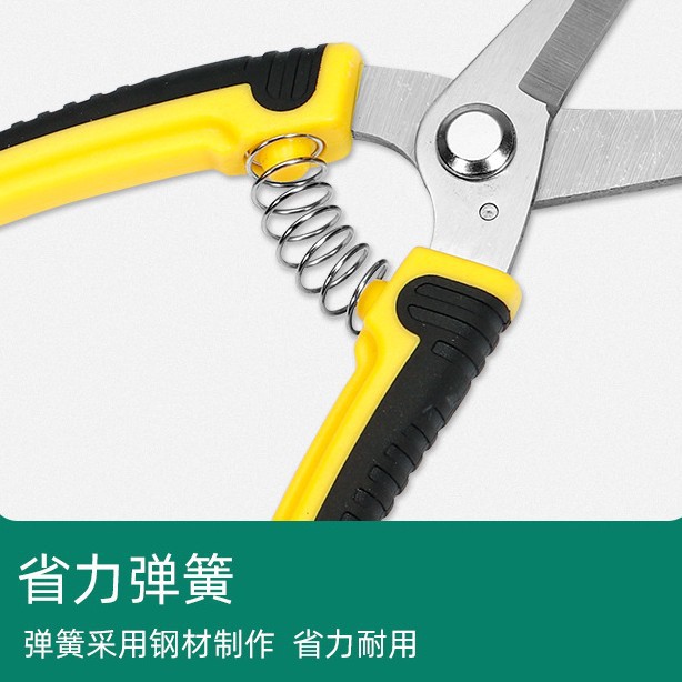 Paslanmaz Çelik Budama Çiçek D - Gardening Tools To Cut Branches incelemesi ve fiyatı