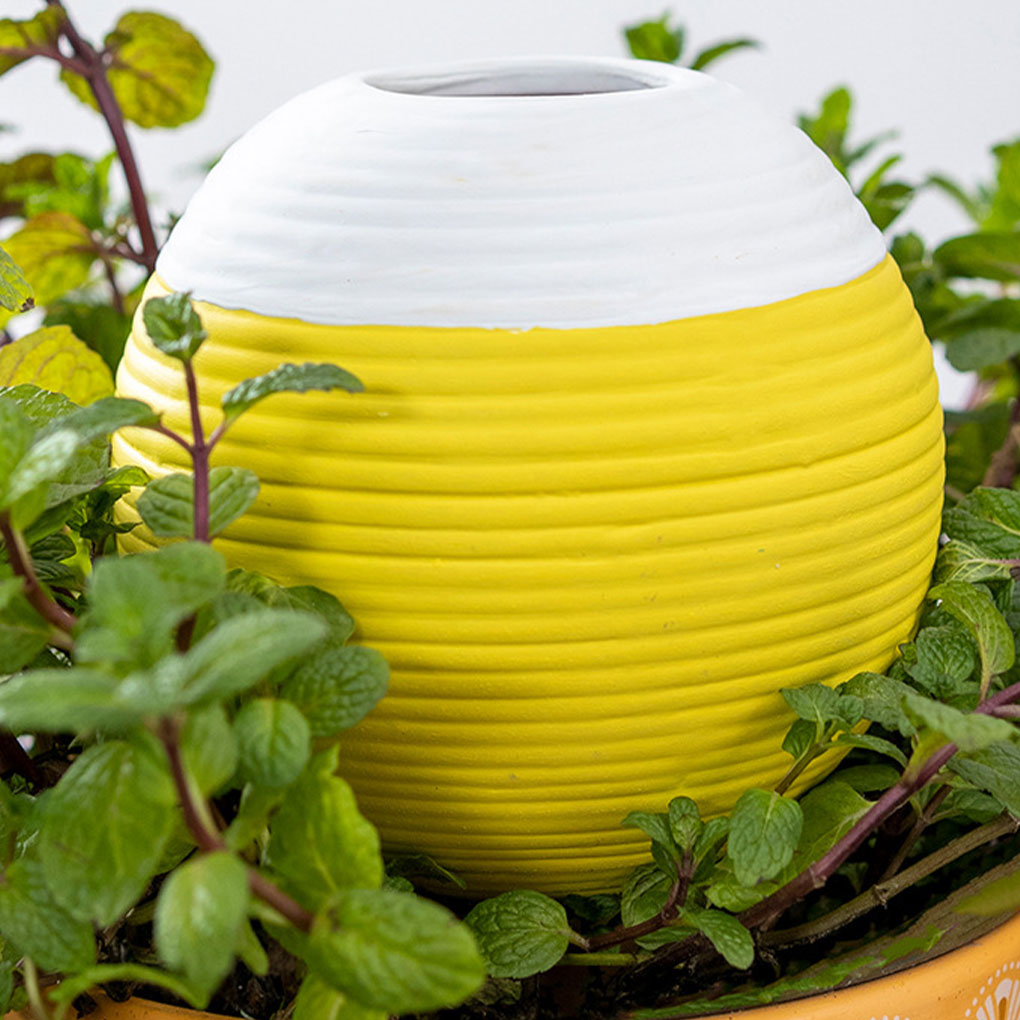 Seramik Otomatik Bitki Sulama  - Gardening Tools Must Haves incelemesi ve fiyatı