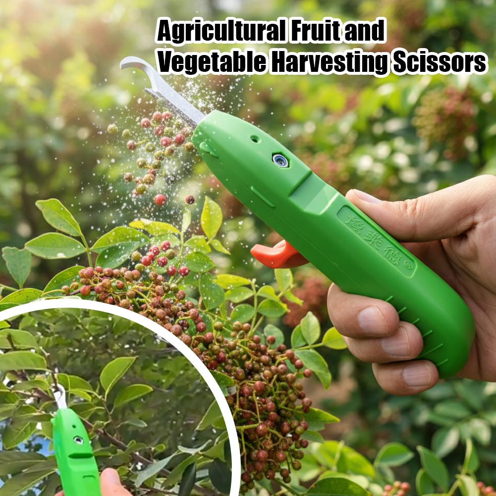 Meyve ve Sebze Toplama Makası  - Gardening Tools Cutter incelemesi ve fiyatı