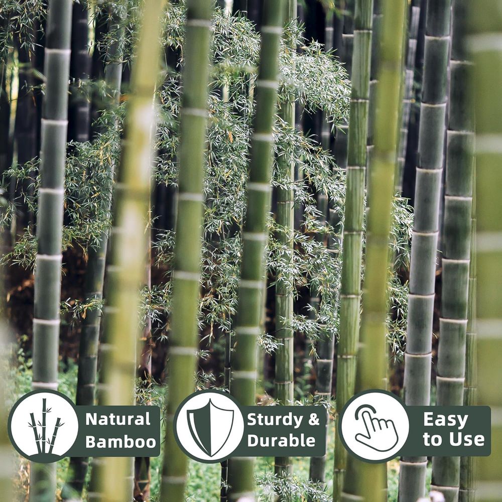 İç ve dış mekan bahçeleri için - Plant Support Stake incelemesi ve fiyatı