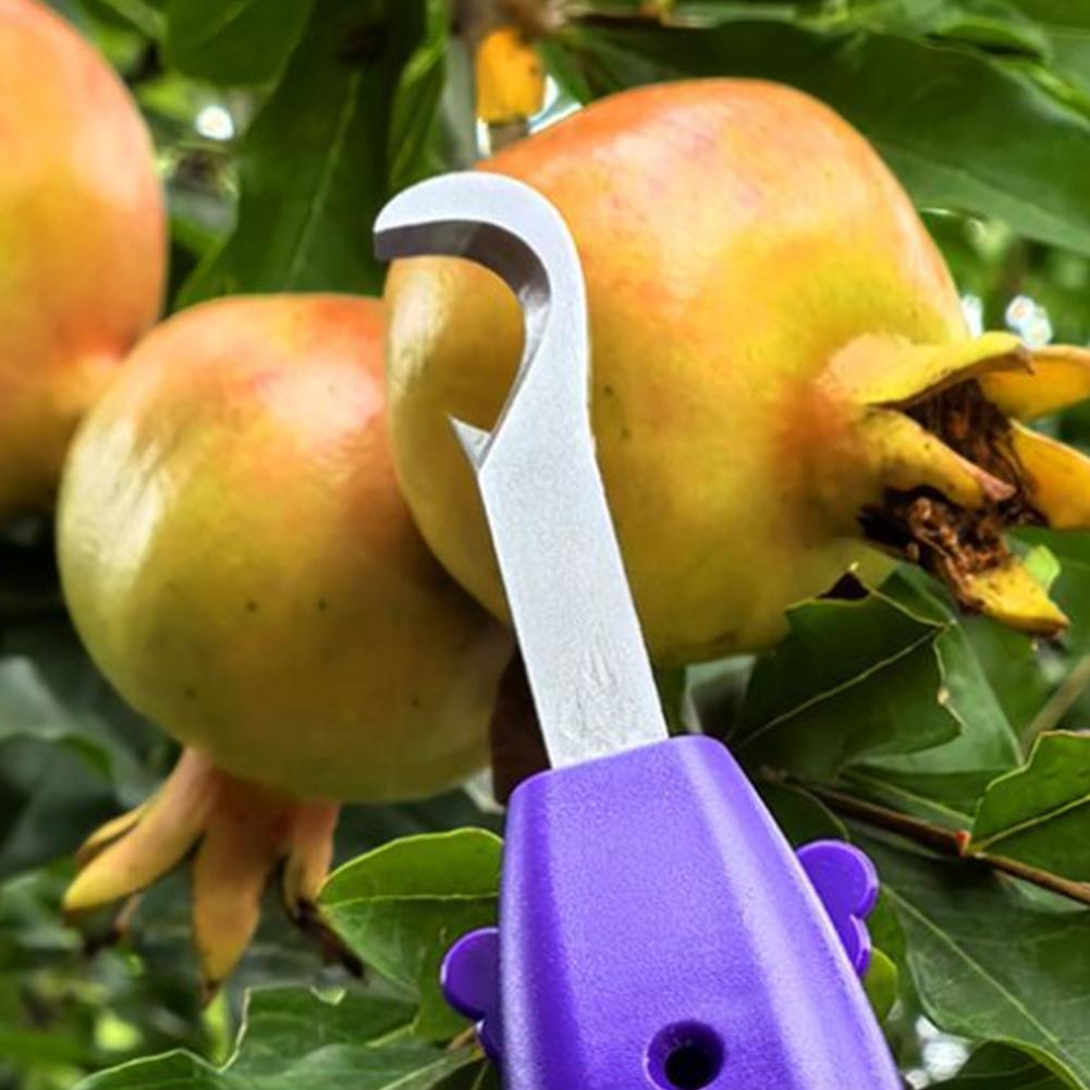 Elde Taşınabilir Meyve Toplama - Gardening Tools Cutter incelemesi ve fiyatı