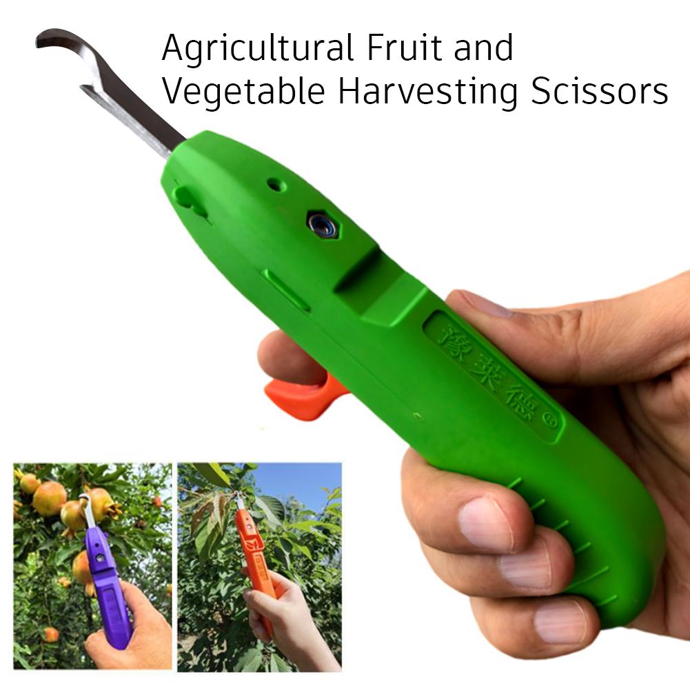 Elde Taşınabilir Meyve Toplama - Gardening Tools Cutter incelemesi ve fiyatı