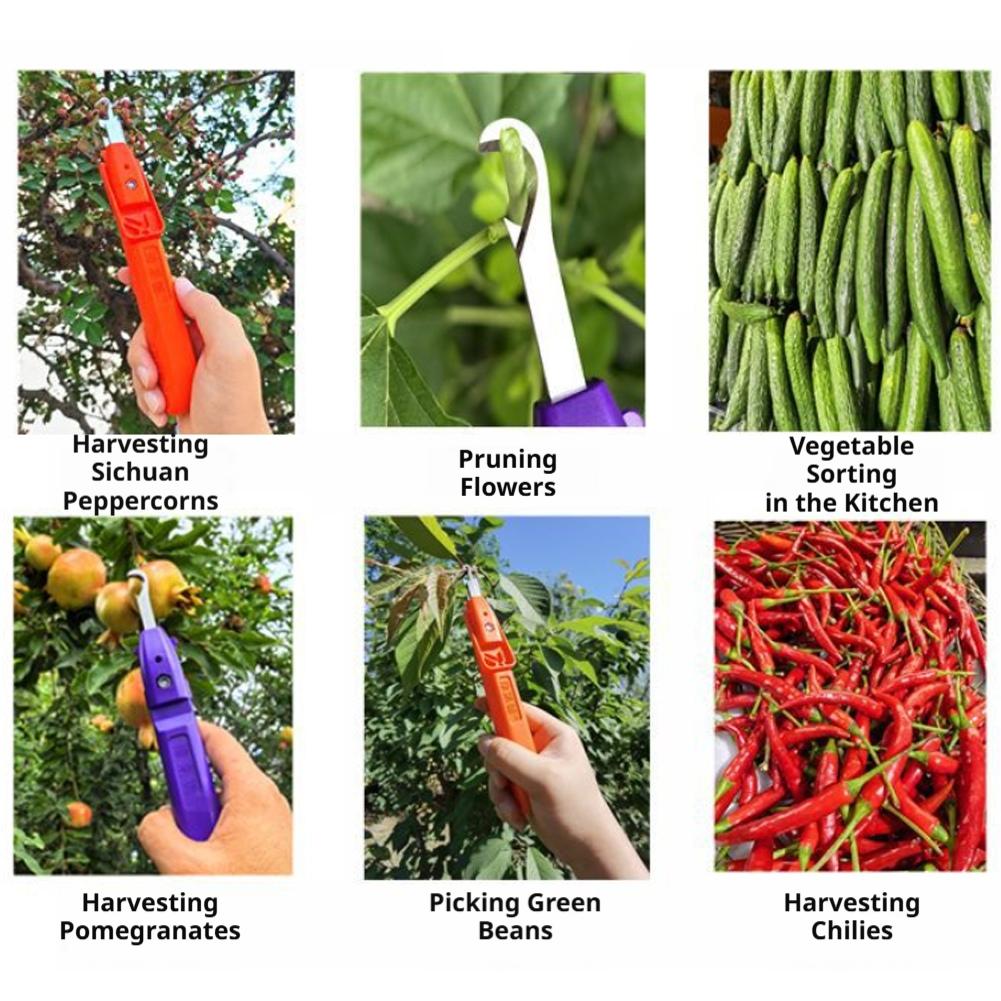 Elde Taşınabilir Meyve Toplama - Gardening Tools Cutter incelemesi ve fiyatı