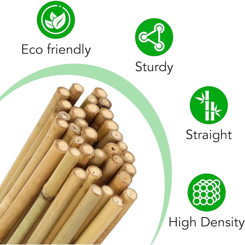 55'li Bambu Bitki Destekleri S - Plant Support Stake incelemesi ve fiyatı